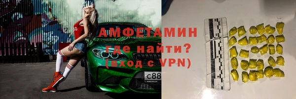 сатива Елизово