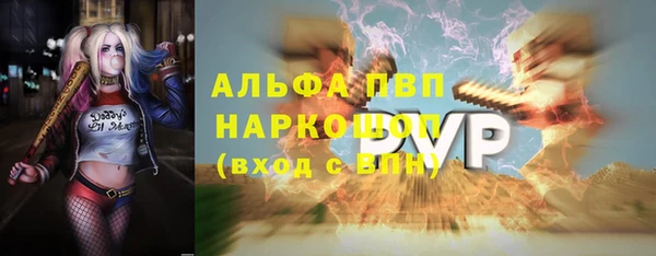 сатива Елизово