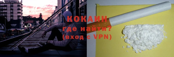 сатива Елизово