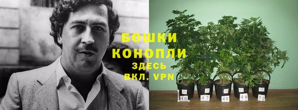 не бодяженный Ельня