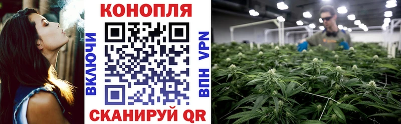 цены   Заволжье  МЕГА вход  Марихуана сатива 